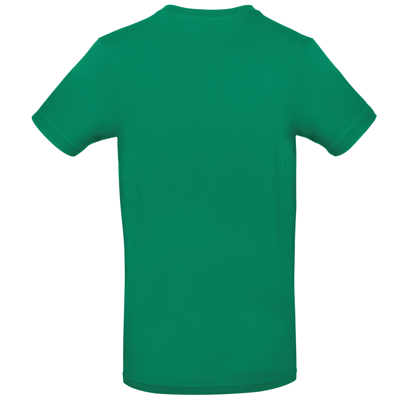 Marškinėliai "Saulės gojus 2025", žali (vaikiški, unisex) - Image 2