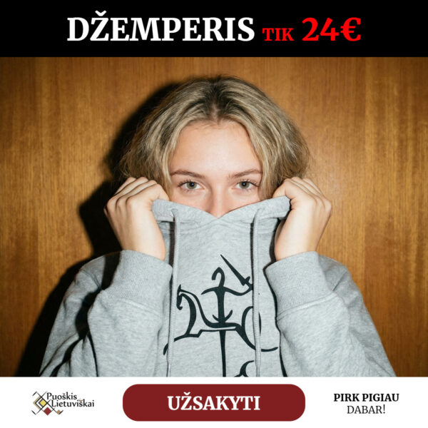 Džemperis su gobtuvu "Senasis Vytis) (Unisex, šv. pilkas)